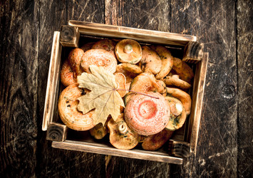 Similar image 15922417