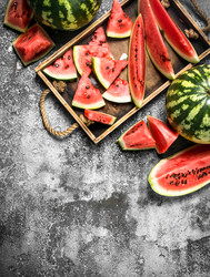 Similar image 15922456