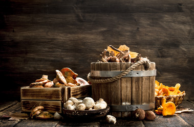 Similar image 15922504