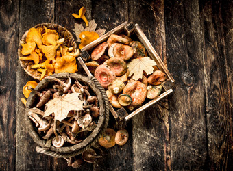 Similar image 15922509