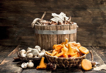 Similar image 15922637