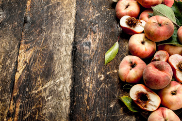 Similar image 15922719