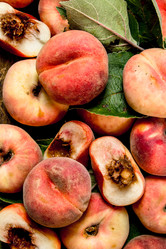 Similar image 15922749