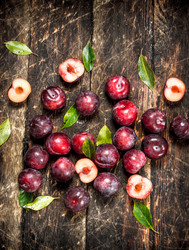 Similar image 15923386