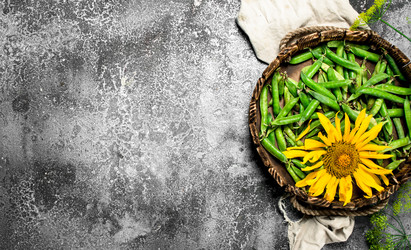 Similar image 15916452