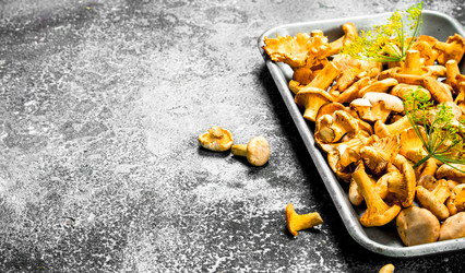 Similar image 15917255