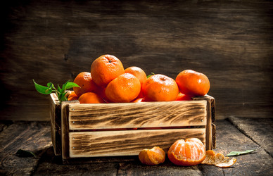 Similar image 15922027