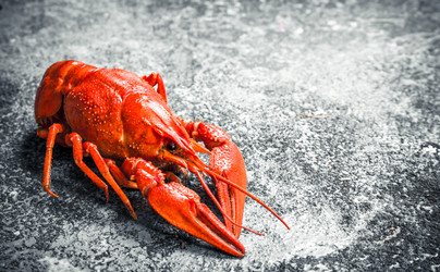 Similar image 15922288