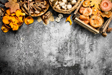 Similar image 15922290