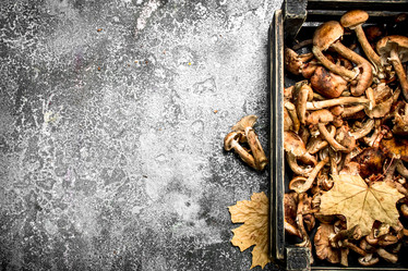 Similar image 15922459