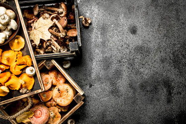 Similar image 15922530