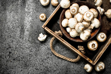 Similar image 15922626