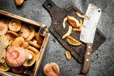 Similar image 15922662