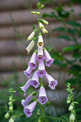 Similar image 15916865