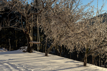 Similar image 15925528