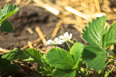 Similar image 15919162