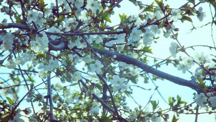 Similar image 15919163