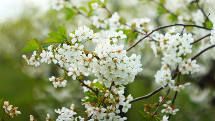 Similar image 15919164