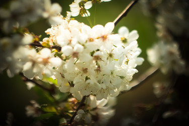 Similar image 15919170