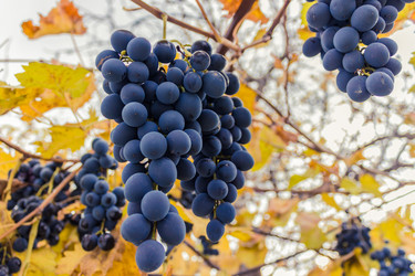 Similar image 15919172