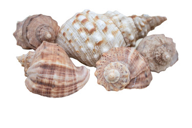 Similar image 15919226