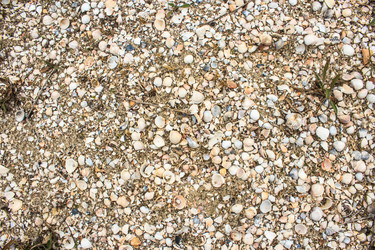 Similar image 15919252