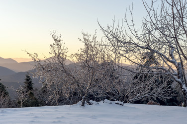 Similar image 15925543