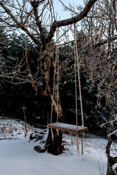 Similar image 15925522