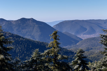 Similar image 15925523