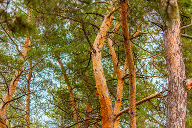 Similar image 15919151