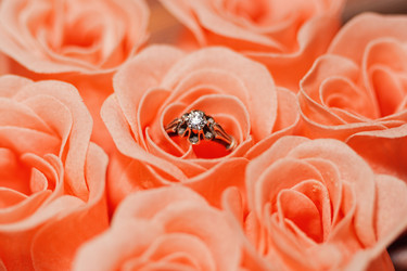 Similar image 15918950