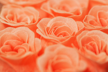 Similar image 15918952