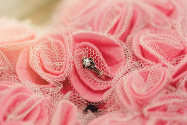 Similar image 15918954