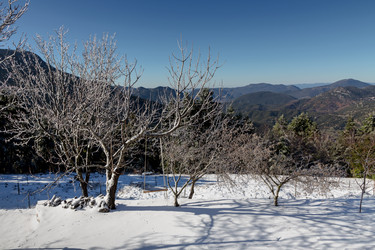 Similar image 15925527