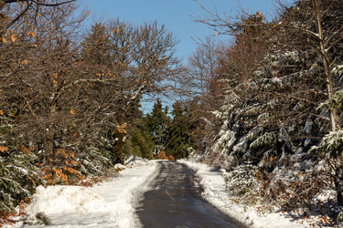 Similar image 15925530