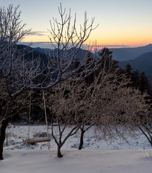 Similar image 15925491