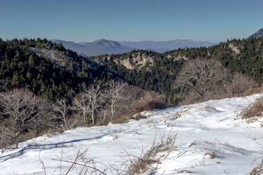 Similar image 15925492