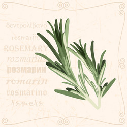 Similar image 15925406