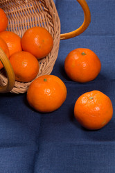 Similar image 15924575