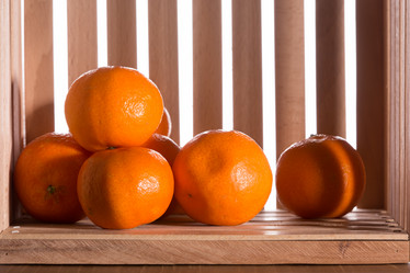 Similar image 15924724