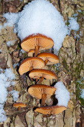 Similar image 15918548