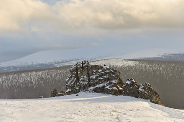 Similar image 15917351