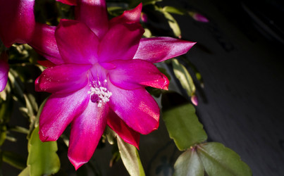 Similar image 15919093