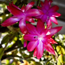 Similar image 15919066