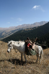 Similar image 15916795