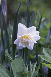 Similar image 15916796