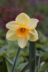 Similar image 15916876