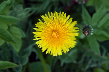 Similar image 15916959