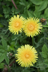 Similar image 15916962