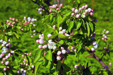 Similar image 15916977